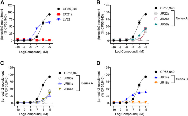 Evaluation of hCB2R-dependent recruitment of βarrestin2. CHO-K1 cells stably-expressing hCB2R were treated with 0.10 nM—10 μM compounds for 90 min and βarrestin2 recruitment was measured. (A) Parent compounds used for the design of the JR derivatives; (B,C) compounds of series A; (D) compounds of series B. CP55,940 data are the same in all four panels and presented for reference. Data are expressed as % CP55,940 response. Data were fitted to a non-linear regression (3 parameter model, GraphPad v. 9.0). Data are mean ± S.E.M. of six independent experiments performed in triplicate.