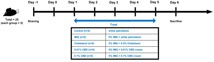 Experimental design and schedule. Five groups were established for this study: Control, IMQ, Clobetasol, 0.01% CBD, and 0.1% CBD; each consisting of five mice. The dorsal skin of all mice was shaved and, two days later, the Control group received white petrolatum for five consecutive days. The other groups were treated with 5% IMQ cream for five consecutive days, followed by their respective treatments four hours later: 62.5 mg of white petrolatum for the IMQ group, 120 mg of 0.5% clobetasol cream for the Clobetasol group, and 62.5 mg of either 0.01% or 0.1% CBD cream for the 0.01% and 0.1% CBD groups, respectively. IMQ, imiquimod.