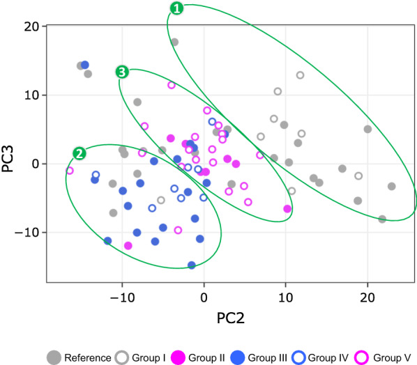 Principal component analysis (PCA). PCA based on the top 40% highly variable DEG probes (2634 of 6586) representing the top 40% highly variable unique DEG (929 of 2322) separated the 88 study participants into three clusters when using PC2 and PC3, which accounted for 12.1% or 6.1% of the total variance, respectively. Symbols: circles, participants; ellipses, participant clusters. Circle colors: gray-filled, Reference Group (non-substance using YWOH, n = 25); gray-open, Group I (YWOH using a combination of alcohol, marijuana and tobacco, n = 9); pink-filled, Group II [non-substance using YWH who had detectable plasma virus on ART (VL > 50 copies/ml), n = 8]; blue-filled, Group III [non-substance using YWH who achieved viral suppression on ART (VL ≤ 50 copies/ml), n = 19]; blue-open: Group IV (virally suppressed YWH using marijuana alone, n = 8); pink-open: Group V (virally suppressed YWH using marijuana plus tobacco, n = 19)
