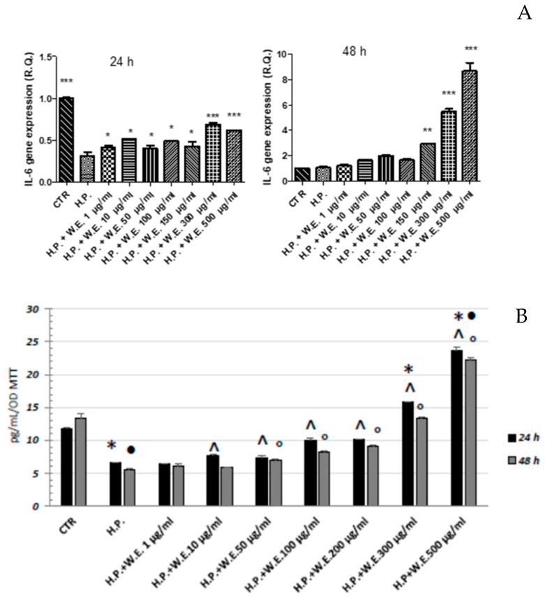 Modulatory effects induced by Futura 75 water extract on hydrogen peroxide (H.P.) 300 µM gene expression (A) and release (B) of interleukin (IL)-6, in human keratinocytes. n = 3. ANOVA, p < 0.0001; *** p < 0.001, ** p < 0.01, * p < 0.05 vs. respective H.P. group B * p < 0.05 vs. Ctr 24 h; • p < 0.05 vs. Ctr 48 h; ^ p < 0.05 vs. H.P. 24 h; ° p < 0.05 vs. H.P. 48 h.