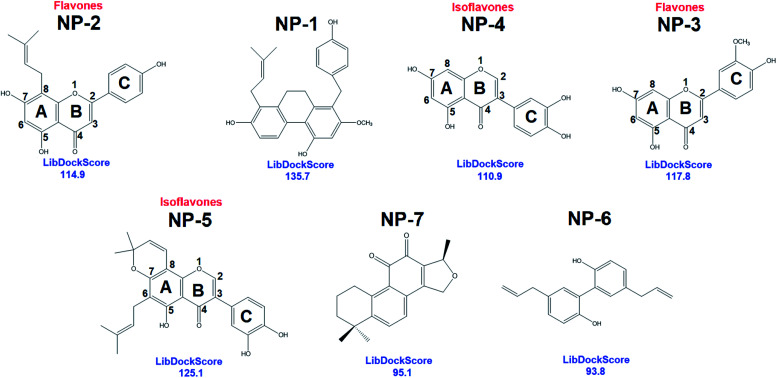 The 2D chemical structures with docking scores of the commonly identified inhibitors from LibDock molecular docking.