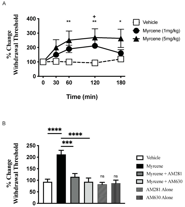 Acute administration of myrcene dose-dependently reduced secondary allodynia in adjuvant monoarthritic knees. Local injection of myrcene around the arthritic knee reduced von Frey hair withdrawal threshold at day 7 of the model with the maximal response occurring 120 min after drug administration (A). ** p < 0.01, * p < 0.05 (5 mg/kg dose) + p < 0.05 (1 mg/kg dose) two-factor RMANOVA with Bonferroni’s post hoc test. Pre-treatment of arthritic animals with either the CB1-receptor antagonist AM281 (75 µg s.c.) or the CB2-receptor antagonist AM630 (75 µg s.c.) blocked the analgesic effect of myrcene (B). Antagonists alone were not significantly different from vehicle. ns—not significant, **** p < 0.0001, *** p < 0.001, one-factor RMANOVA with Bonferroni’s post hoc test. Data are means ± S.E.M.