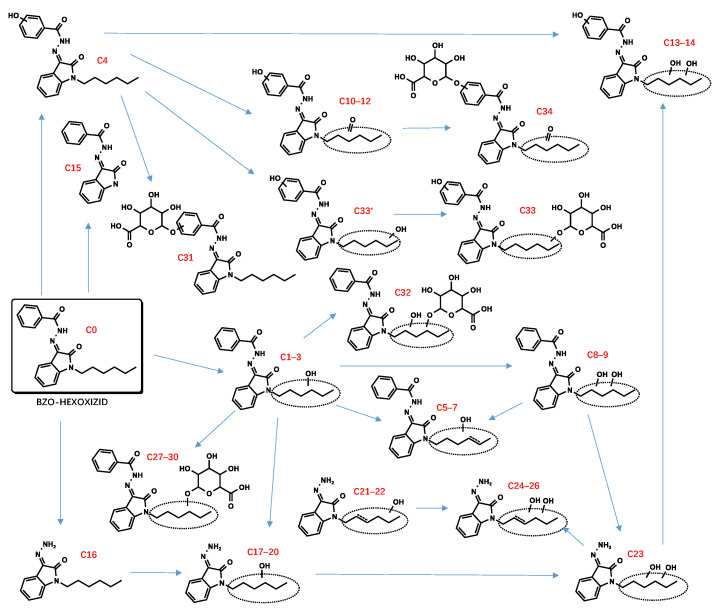 Proposed metabolic pathway of BZO-HEXOXIZID.