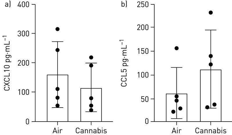 Antiviral cytokine quantification in apical washing of primary human airway epithelial cells exposed to air or whole cannabis smoke. a) CXCL10, p=0.110; and b) CCL5, p=0.252 (n=5, analysed via paired t-tests).