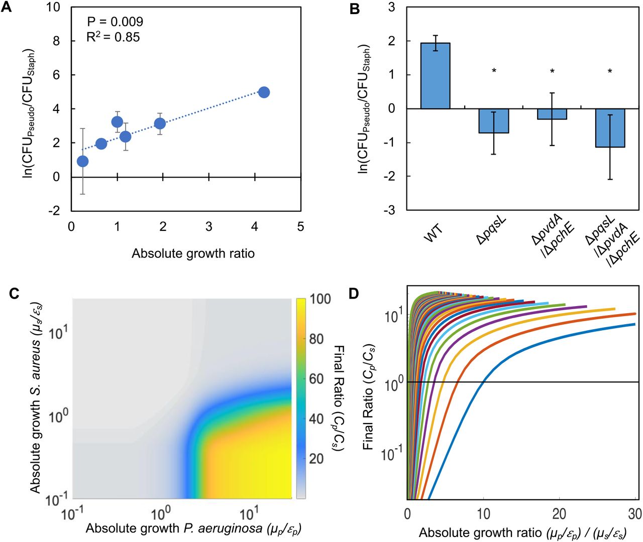 Differences in absolute growth determine the final densities of S. aureus and P. aeruginosa in co-culture.A) Final density ratio of P. aeruginosa to S. aureus after 24 hours of growth in co-culture with different carbon sources affording different absolute growth ratios. Standard deviation from a minimum of three biological replicates. R2 and P value shown on plot are from a linear regression. Weighted least squares regression: R2 = 0.98, P = 0.0002. Kruskal Wallis, P = 0.0134 (Shapiro Wilk < 0.0001). For panels A and B, final cell density in CFU for both strains show in Supplementary Fig. 2. Linear regressions between the final density ratio and [ATP], maximum growth rates, the ratio of ATP and the ratio growth rates shown in Supplementary Fig. S2.B) Final density ratio of P. aeruginosa knockout strains to S. aureus after 24 hours of growth in co-culture. Carbon source included in the growth medium was glucose. Standard deviation from a minimum of three biological replicates. * P = 0.0369 as compared to wildtype P. aeruginosa strain using a Mann Whitney test (Shapiro Wilk for normality < 0.001).C) Heat map showing the effect of absolute growth (μ/ε) of P. aeruginosa (Cp) and S. aureus (Cs) on the final ratio of the strains. For these simulations, growth rate (μ) was held constant while metabolism (ε) was varied. For simulations where growth rate is varied and metabolism is held constant, see Supplementary Fig. 3. For panels C and D, simulations performed using Eq. 1-3. Total simulation time = 24 hours. Parameters in Tables S2. Model description and development in Methods. Sensitivity analysis in Supplementary Fig. 3.D) Representative simulations showing the relationship between the ratio of absolute growth and the final density ratio of P. aeruginosa to S. aureus. For these simulations, growth rate (μ) and metabolism (ε) for P. aeruginosa were varied while they were fixed for S. aureus. Each colored line presents a combination of μ and ε for P. aeruginosa. Simulations using fixed values for P. aeruginosa and varied values for S. aureus shown in Supplementary Fig. 3.