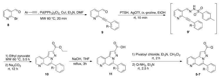General synthetic route for the preparation of pyrazolo(5,1-f)(1,6)naphthyridine derivatives 5–7.
