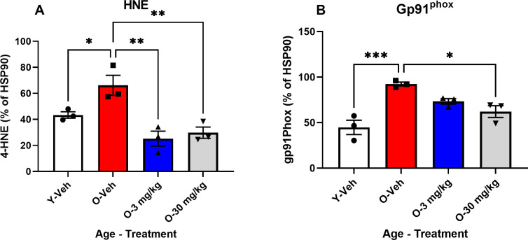 CBD treatment reverses age-related markers of lipid peroxidation and oxidative stress.Western blot analysis of hippocampal tissues taken from 12 mos-old vehicle treated SAMP8 mice (red bars) showed elevated expression of 4-HNE (A) and gp91phox.(B) compared to hippocampal tissues taken from 4 mos-old vehicle treated mice (white bars). Treatment of aged SAMP8 mice with 3 (blue bars) or 30 mg/Kg (gray bars) CBD reduced the expression of both 4-HNE (B) and gp91phox (C) in hippocampal tissues taken from these mice. (N = 3 per group for all). See Fig 1 in supplement for blots.