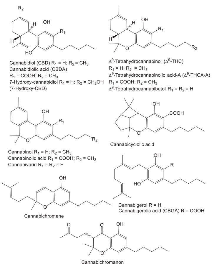 Cannabinoids produced by hemp with antiviral and other therapeutic activities