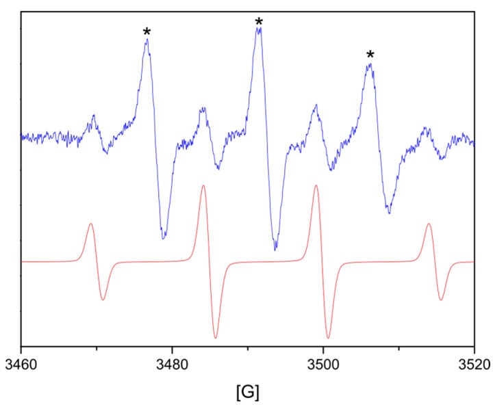 Experimental and simulation EPR spectra of the •DMPO-OH spin adduct of mesh sample made at 90 °C (* nitroxyl radical generated by the oxidation of DMPO).