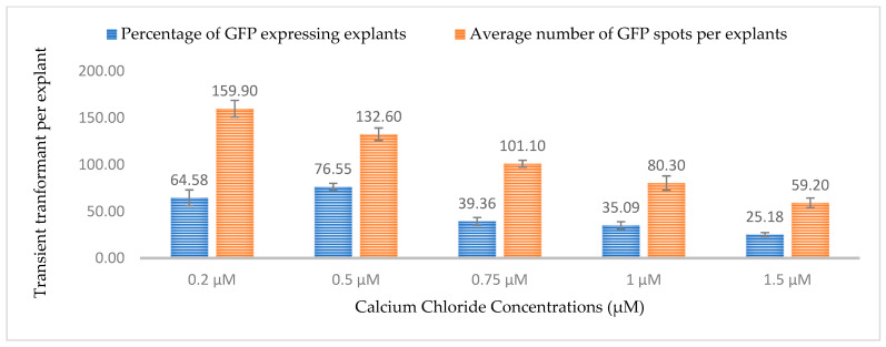 Effect of different calcium chloride concentrations on transformation efficiency based on transient GFP expression. Infection frequency was calculated as the percentage of GFP-positive explants from 3-week-old leaves out of the total number of explants examined. The number of GFP foci per explant is the average number of GFP-positive foci in at least three independent explants. The data are represented as means ± standard error (SE). To optimize the individual parameter, each experiment contained 25 to 30 samples and each experiment had 3 replications (n = 75).