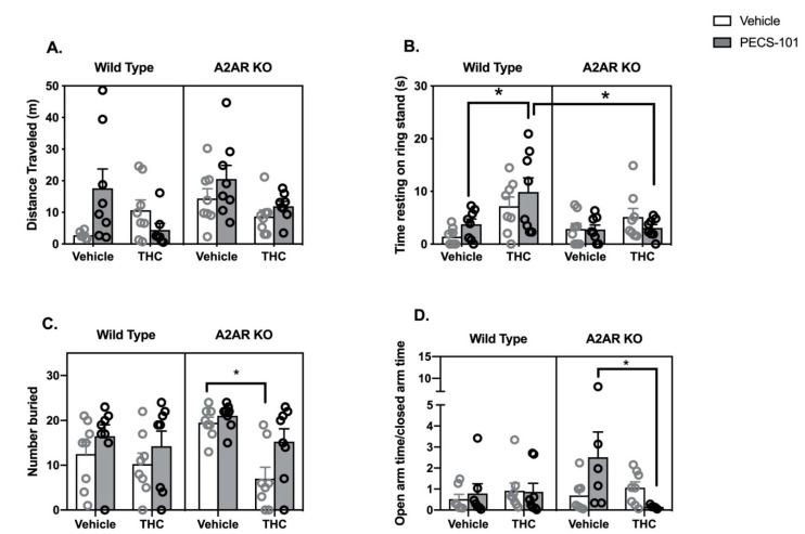 Behavioral effects of THC (5 mg/kg), PECS-101 (5 mg/kg) and their combination in wild type (WT, open bars and gray symbols) and A2AR null (A2AR-KO, closed bars and black symbols) mice. (A) Drug effects on distance moved in 15 min while in a cylindrical open field arena. Three outliers were identified (2 in the WT/veh/veh group and 1 in the WT/THC/PECS-101 group). (B) Drug effects on cataleptic behavior in the ring stand assay. (C) Drug effects on the number of marbles buried. (D) Drug effects on the ratio of time spent in the open and closed arms of the EPM. A total of 8 mice were eliminated from this data set; three mice froze on the open arm of the maze (2 in the KO/veh/PECS-101 group and 1 in the KO/THC/PECS-101 group) and five mice were statistical outliers (one each in the WT/veh/veh, WT/veh/PECS-101 and KO/veh/veh groups; and 2 in the KO/THC/PECS-101 group). Bars represent the mean, and vertical lines are the standard error of the mean. * p < 0.05.
