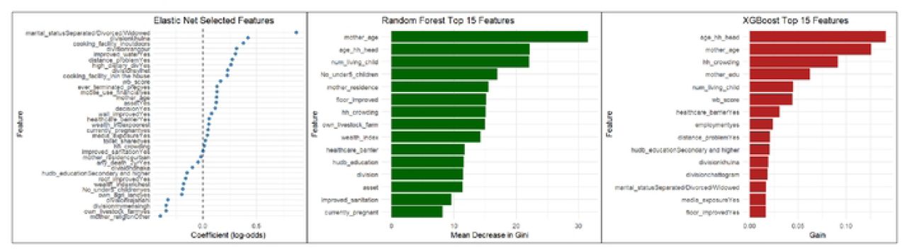 Feature importance and selection across models. (a) Elastic Net–selected predictors with non-zero coefficients, shown on the log-odds scale. (b) Top 15 predictors ranked by mean decrease in Gini from the Random Forest model, capturing nonlinear effects and interactions. (c) Top 15 predictors ranked by gain from the XGBoost model, reflecting their relative contribution to loss reduction.