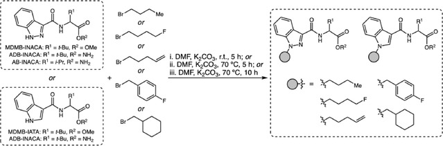 Tail‐less precursors in SCRA production.