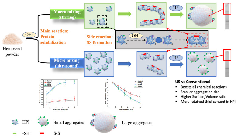 The schematic mechanism of the conventionally extracted and US-assisted extracted hempseed protein system.