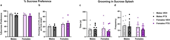 Sucrose preference and Sucrose Splash. Investigation of depression-related behaviour in male and female rats respectively on day 54 and 62 following PTX or VEH intraperitoneal injections. Percentage of Sucrose preference calculated as (Sucrose Intake/Total Intake) × 100 (A), and Percentage of 0.5% sucrose per body weight calculated as (Sucrose Intake)/(Body weight) × 100 (B). Data expressed as mean ± S.E.M (n = 5 per group). Time spent grooming (C), and frequency (D) in sucrose splash. Data expressed as mean ± S.E.M (n = 10 per group).