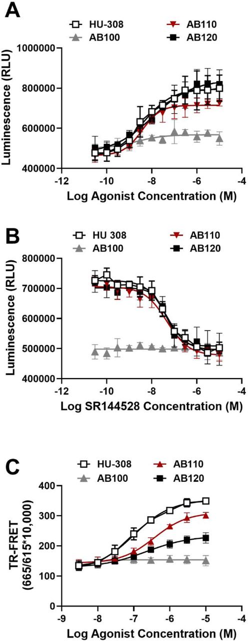 CB2 agonist antibodies inhibit cAMP production in RAW264.7 cells. The Bioluminescent cAMP-Glo™ Max Assay (Promega) was used to monitor cAMP levels where cAMP concentration is inversely proportional to luminescence signal. (A) CB2 specific agonist (HU-308) and CB2 specific agonist antibodies (AB110 and AB120) decrease NKH477-induced cAMP production. (B) The CB2-selective antagonist/inverse agonist SR144528 inhibits the agonist activity of HU-308, AB110, and AB120. (C) β-arrestin-2 recruitment by CB2 agonist antibodies in RAW264.7 cells. HTRF β-arrestin-2 recruitment assay was performed to measure β-arrestin-2 recruitment. RAW264.7 cells were transfected with 20 ng of human β-arrestin-2 expressing plasmid and 130ng of empty pcDNA3 plasmid and β-arrestin-2 recruitment was measured by TR-FRET. Data represents mean ± SD from four independent experiments.