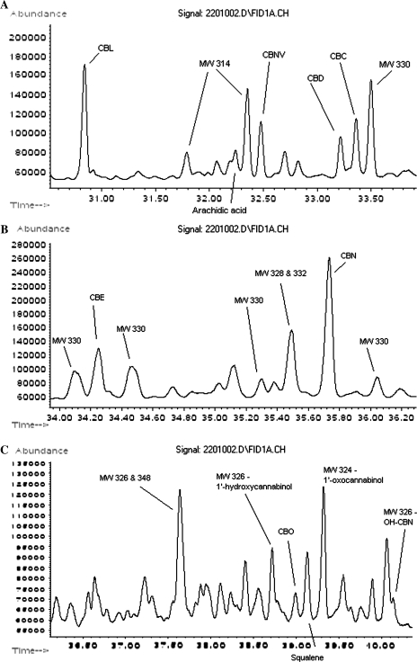 Gas chromatography of ancient cannabis subsections. (A) GC of the 30–34 min region demonstrates several phytocannabinoids: cannabidiol (CBD), cannabichromene (CBC), cannabicyclol (CBL), and cannabinavarin (CBNV). (B) GC of the 34–36.3 min region displays the highest peak, cannabinol (CBN), the direct non-enzymatic oxidative metabolite of THC, with possible cannabielsoin (CBE) at 34.2 min. (C) GC of the 36.3–40.5 min region displays cannabitriol (CBO) a THC degradant, and CBN variants (see text).