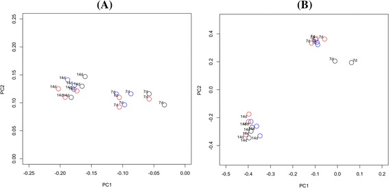 Principal coordinates analysis of biofilm replicates from Panel 1 at different time points. Plots are based on community membership using the Jaccard index (A) and community structure using the thetaYC calculator (B). Blue - Time 1; red - Time 2; black - Time 3. A: PC1 = 8.6% of variance, PC2 = 5.2% of variance. B: PC1 = 33.1% of variance, PC2 = 19.3% of variance.