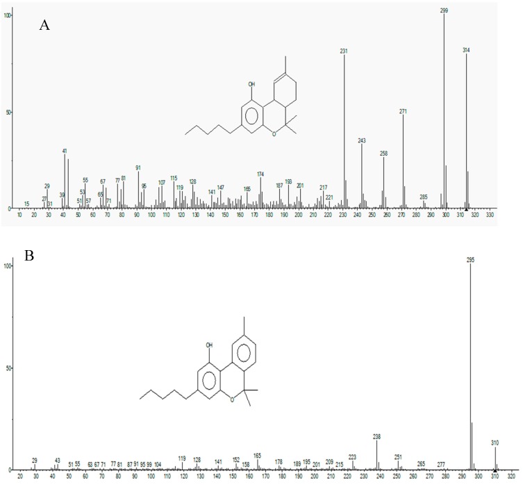 Fragmentation pattern of THC (A) and CBN (B).