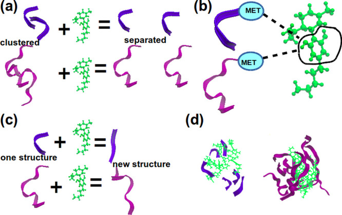 Illustration of possible mechanisms of actions of CBD on Aβ peptides: (a) inhibition of peptide aggregation; (b) binding of the dihydroxyphenyl ring to MET35 (the amino acid residue is accented by an ellipse); (c) change of the secondary structure; (d) clustering of CBD with adsorption of peptides around the clusters. Here colors are the following: “blue” ribbons are Aβ(31–35), “purple” ribbons are Aβ(25–35), and “green” molecule is CBD. Sizes of molecules were rescaled for clarity.