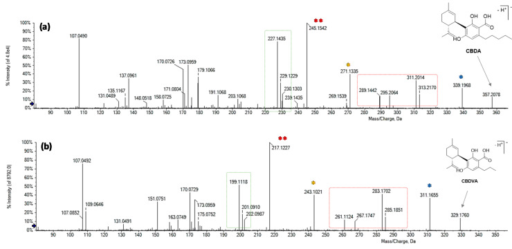 TOF-MS2 spectra of (a) CBDA and (b) putative CBDVA. Fragment ions deriving from the same neutral losses are marked with the same symbol.