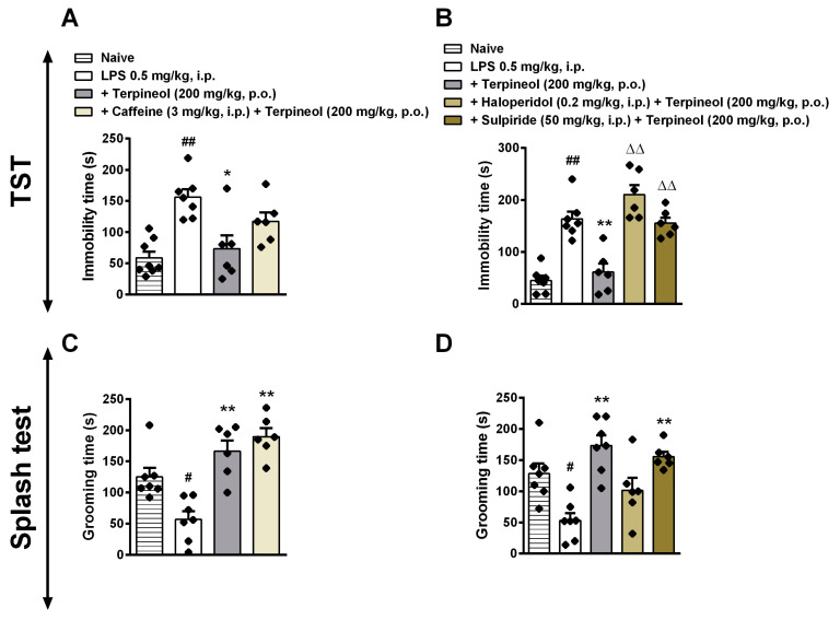 Involvement of A1 and A2 adenosine receptors and D1 and D2 dopamine receptors in the terpineol antidepressant-like effect in the tail suspension test (TST: A,B) and splash test (ST: C,D). Mice were treated with caffeine (a nonselective adenosine receptor antagonist: 3 mg/kg, i.p.—left panel), haloperidol (a nonselective dopaminergic receptor antagonist: 0.2 mg/kg, i.p.—right panel) or sulpiride (a selective dopamine D2 receptor antagonist: 50 mg/kg, i.p.—right panel). After 30 min the animals received terpineol (200 mg/kg, p.o.), and 1 h later they were treated with LPS (0.5 mg/kg, i.p.). After 24 h of LPS administration, the behavioral analyses were performed. The data are presented as the mean ± SEM of six to eight mice/group, with black dot showing individual mice. Differences between groups are indicated: *p < 0.05 and **p < 0.01 compared to the LPS group; # p < 0.05 and ## p < 0.01 compared to the naïve group; ΔΔp < 0.01 compared to the terpineol group.