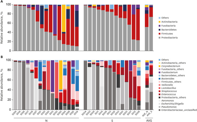 Differences between microbiota compositions in the control (N) and common bile duct stone (S) groups at the phylum and genus levels. (A) Phylum level, (B) genus level.N = none, S = stone, AVG = average.