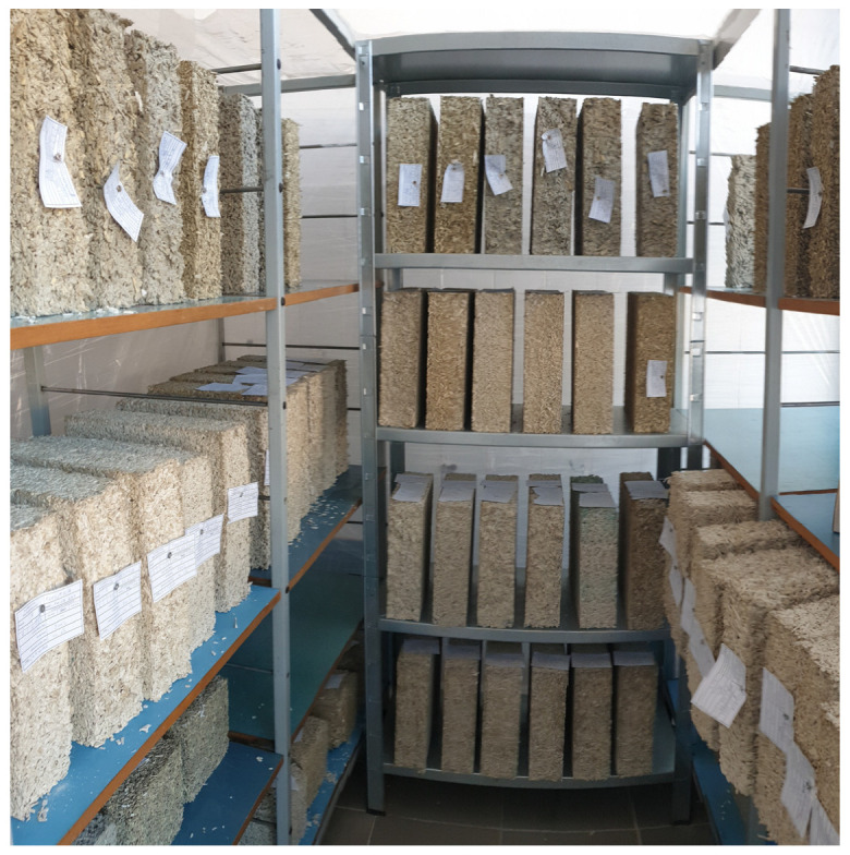 Samples from each series prepared for thermal conductivity testing.