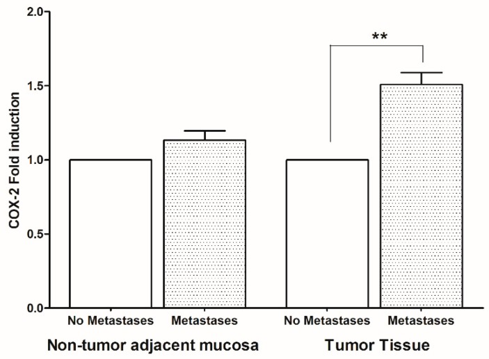 Cyclooxygenase-2 (COX-2) gene expression levels (mean ± SD) in non-tumor adjacent mucosa and tumor tissue from colorectal cancer patients with and without metastases. Data are expressed as Fold induction. ** p < 0.02 (Student’s t-test).