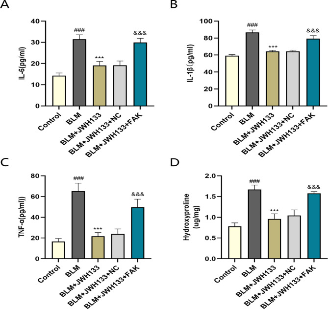 JWH133 alleviates pulmonary inflammatory response in mice with BLM .The levels of inflammatory factors IL-6 (A) 、IL-1β (B) and TNF-α (C) in serum of lung tissue were measured by enzyme-linked immunosorbent assay (ELISA).n = 6. (D) The content of hydroxyproline in lung tissue.n = 6.###P < 0.001 vs. control group;***P < 0.001 vs. model group;&&&P < 0.001 vs. BLM + JWH133 + NC.