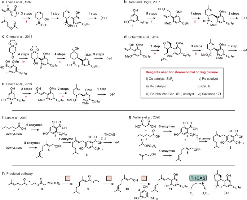 Previously published and newly proposed syntheses of dronabinol.a–g Overview of published enantioselective syntheses of dronabinol. h Shortest hybrid synthesis plan returned. Dronabinol does not appear in the training set of the enzymatic retrosynthesis model. THCAS tetrahydrocannabinolic acid synthase.