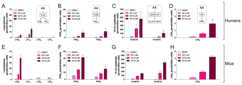 Biosynthesis of AA-derived eicosanoids from human and mouse eosinophils. EOS suspensions (5 × 106 cells/mL, 37 °C) were treated with DMSO or increasing concentrations of AA for 15 min. Incubations were stopped by adding one volume of cold (−20 °C) MeOH containing internal standards. Samples were then processed and analyzed for eicosanoids by LC-MS/MS, as described in Materials and Methods. (A–D) Results are the mean (±SEM) of 6 independent experiments using human eosinophils from asthmatic donors. (E–H) Results are the mean (±SEM) of 7 independent experiments using bone marrow-derived mouse eosinophils.