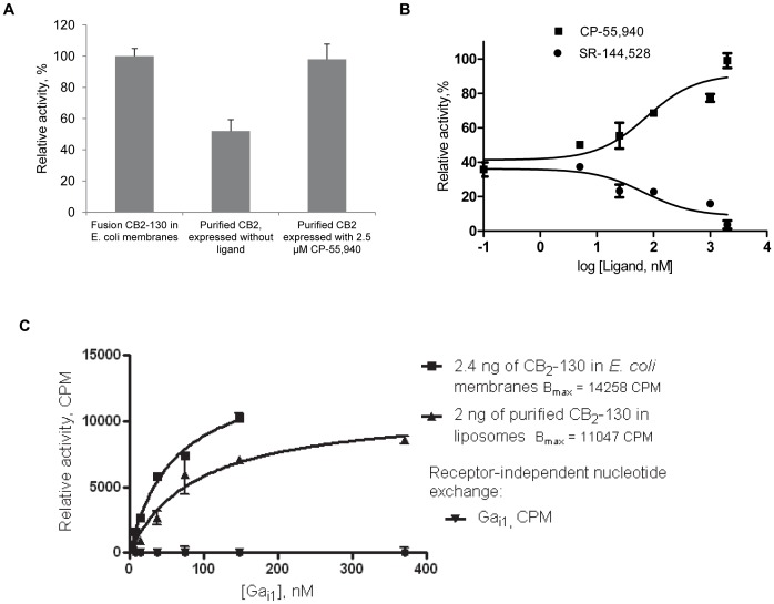 Functional activity of CB2 in liposomes.A, Effect of 2.5 µM CP-55,940 in growth media of E. coli BL21 (DE3) expressing CB2-130 on functional activity of purified and liposome-reconstituted CB2. Purified protein was reconstituted into liposomes containing POPC:POPS:CHS (60∶15:25 w/w/w) at a protein-to-lipid ratio 1∶500, and activity measured in the presence of 2 µM CP-55,940 by the G protein activation assay. Membranes of E. coli BL21 (DE3) expressing CB2-130 fusion protein served as a positive control. Data represents duplicate measurements ± S.D. (error bars) of a representative set of samples (n = 3). 6 ng of the receptor was introduced into the reaction and normalization was performed assuming concentration of CB2 of 3 ng per 1 µg of total protein in the E. coli membrane preparation. The concentration of CB2-130 in membrane preparations was calculated based on a quantitative Western blot probed with anti-CB2 antibody, by comparing intensity of the band of fusion MBP-CB2 with that of known amounts of purified CB2-130 electroblotted onto the same nitrocellulose membrane (not shown). The concentration of CB2 in proteoliposome preparations was determined by fluorescence of Alexa-488-labeled CB2 added at a ratio of 2∶98 (labeled: unlabeled receptor) to purified CB2-130 prior to its reconstitution into liposomes as described in Materials and Methods and in [19]. B, Activation of G proteins by liposome-reconstituted CB2 as a function of ligand concentration. Effects of agonist CP-55,940 and inverse agonist SR-144,528. Purified CB2-130 stabilized with 2.3-fold molar excess of CP-55,940 was reconstituted into POPC/POPS/CHS (60∶15:25) proteoliposomes. The concentration of CB2 in the reaction was 2 nM, and the G protein activation assay performed as described in Materials and Methods. The figure shows duplicate measurements ± S.D. of representative proteoliposome/membrane preparations (n = 3). C, Gαi1 saturation of CB2-catalyzed GDP/35S-γ GTP exchange. 35S-γ GTP binding was measured in reactions containing 1.2 nM of CB2 in E. coli membranes or 1 nM of purified CB2-130 reconstituted into proteoliposomes. The contribution of spontaneous nucleotide exchange at a given Gαi1 concentration estimated in the absence of CB2 was subtracted from total binding. Average of two measurements is presented with S.D. indicated.