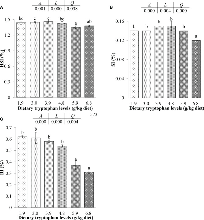 Effects of dietary tryptophan with different levels on organ index of C. argus (means ± S.D. of three replications). Bars with different letters indicate significantly among the treatments (P < 0.05). (A) Hepatosomatic index (HSI); (B) Spleen index (SI); (C) Renal index (RI).