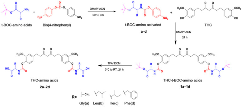 Synthesis routes of THC-amino acid carbamate ester conjugates: THC-di-Gly, THC-di-Leu, THC-di-Ile, and THC-di-Phe.