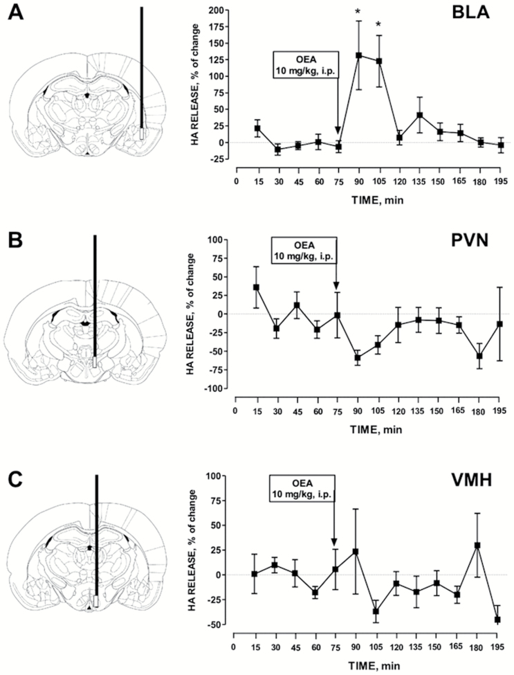 Histamine extraneuronal levels were measured in fractions collected every 15 minutes. Baseline values were determined from the average of 5 samples preceding oleoylethanolamide (OEA) i.p. injection. OEA significantly increased the extraneuronal levels of histamine in the basolateral amygdala (BLA), but not in the paraventricular nucleus (PVN) nor the ventromedial hypothalamus (VMH). The mean basal extraneuronal level of histamine was (fmol/15 min) 22.8 ± 23.1 in the BLA (n = 5), 118.5 ± 74.2 in the PVN (n = 6), and 47.4 ± 24.4 in the VMH (n = 6). ANOVA and Newman-Keuls’ posthoc test, *P < .05 vs baseline levels.