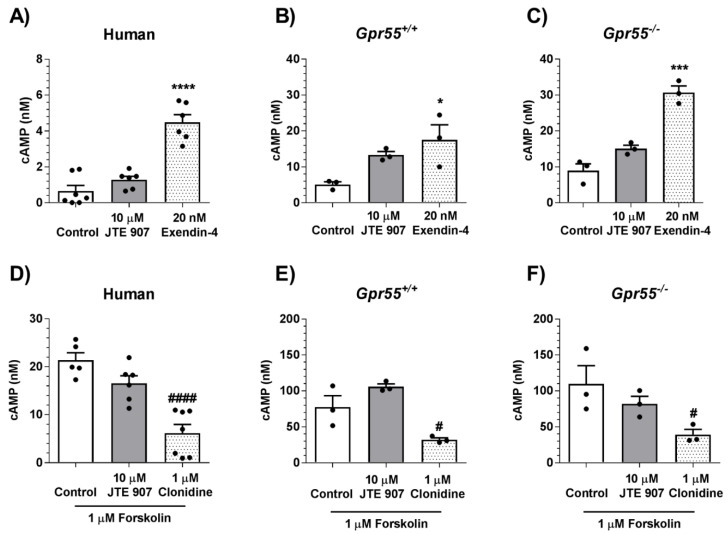 Effects of JTE 907 on cAMP levels in human and mouse islets. 10 μM JTE 907 had no effect on cAMP accumulation in untreated human islets (A) or those exposed to 1 μM forskolin (D). JTE 907 also did not significantly affect cAMP levels in islets isolated from Gpr55+/+ (B,E) and Gpr55−/− (C,F) mice (p > 0.05 for all JTE 907 vs. control comparisons). In the same experiments, 20 nM exendin-4 and 1 μM clonidine significantly increased and decreased cAMP, respectively (A–F). Data show mean + SEM data of 3–6 observations per treatment group that are representative of 3 independent experiments using both mouse and human islets. * p < 0.05, *** p < 0.001, and **** p < 0.0001 exendin-4 vs. basal; # p < 0.05 and #### p < 0.0001 clonidine vs. forskolin. Data were analysed using one-way ANOVA, followed by Dunnett’s multiple comparisons post-test.