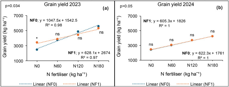 Graphs (a) and (b) display grain yield versus nitrogen fertilizer levels for 2023 and 2024. Both graphs show linear relationships with equations provided and R-squared values close to one. The 2023 graph has a p-value of 0.034, indicating significance, while the 2024 graph has a p-value greater than 0.05, indicating non-significant results. Data points are labeled with statistical significance markers, and two linear models are represented in both years.