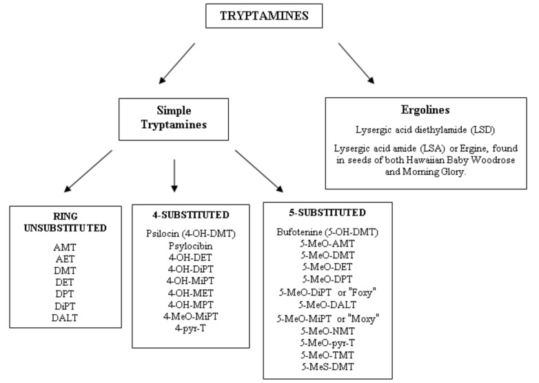 Classification of tryptamines