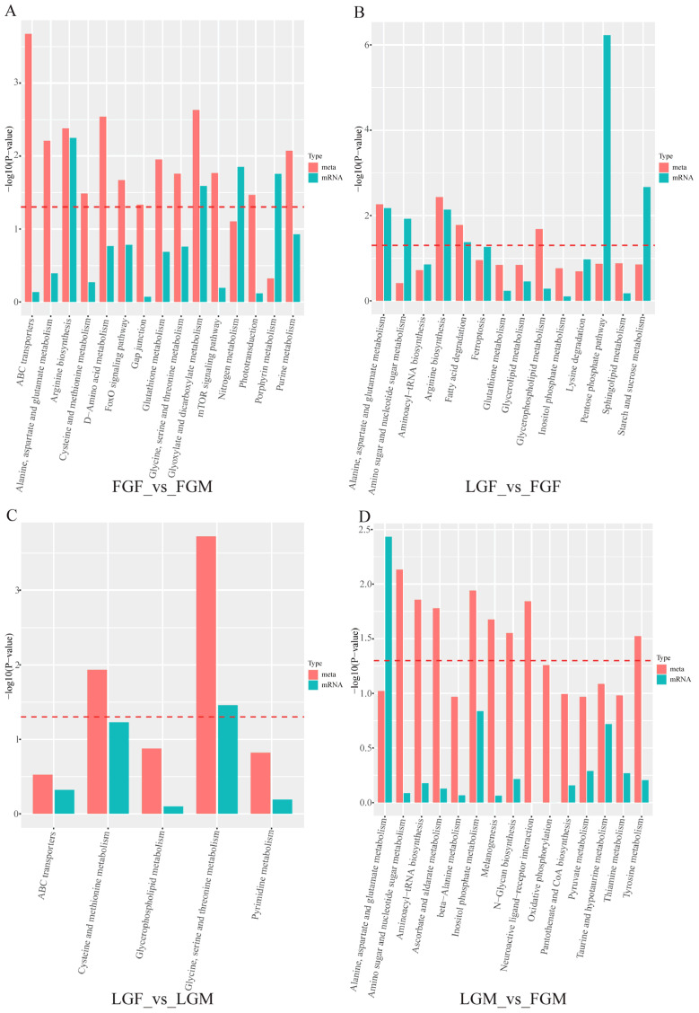 DEMs/DEGs co-enrichment KEGG pathway: (A) FGF_vs_FGM; (B) LGF_vs_FGF; (C) LGF_vs_LGM; (D) LGM_vs_FGM.