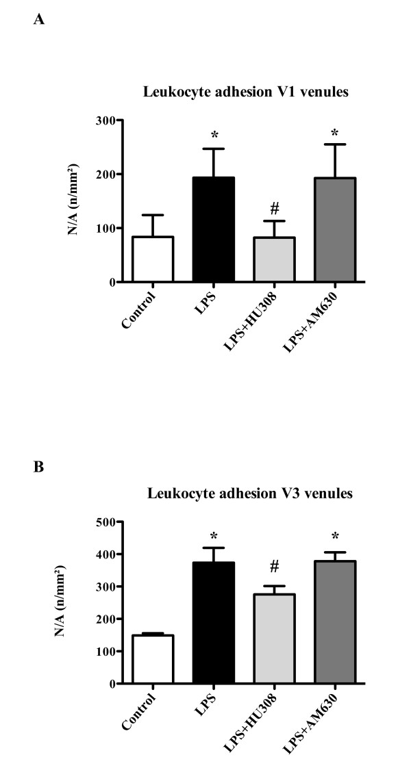 Endotoxemia - leukocyte adhesion. Leukocyte adhesion (n/mm2) in (A) collecting venules (V1) and (B) postcapillary venules (V3): control group (n = 9); lipopolysaccharide (LPS), endotoxemia group (20 mg/kg LPS at time 0; n = 9); LPS + HU308, endotoxin plus cannabinoid receptor 2 (CB2R) agonist (n = 9); LPS + AM630, endotoxin plus CB2R antagonist (n = 9). Data presented as mean ± standard deviation. N/A, numbers per area. *P <0.05 versus control. #P <0.05 versus LPS.