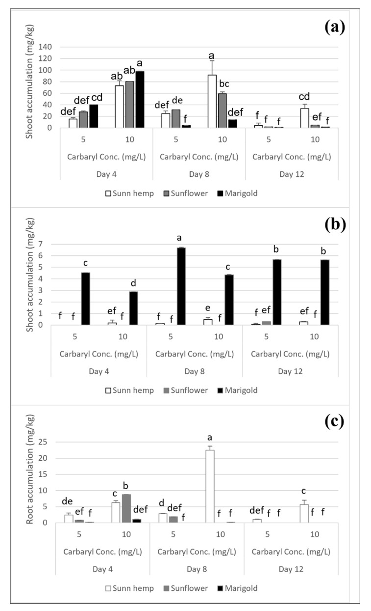 Carbaryl degradation in shoots and roots of sunn hemp, sunflower, and marigold after 4, 8, and 12 days of cultivation; carbaryl in shoots (a), 1-naphthol in shoots (b); and carbaryl in roots (c). Note: a, b, c, d, e, and f indicate significant differences based on ANOVA and Tukey’s HSD test. The data shown are mean and SD.