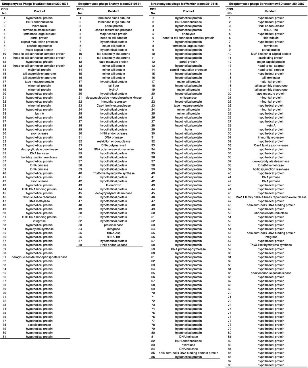 Functions of the putative proteins encoded within the genomes of four phage isolates.