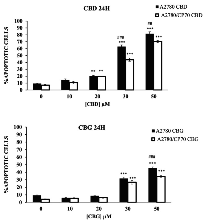 Mitochondrial membrane potential assay on A2780 cells treated with (a) CBD and (b) CBG. The percentage of apoptotic cells when treated with CBD at 10, 20, 30, and 50 μM on A2780 and A2780 CP70, respectively, after 24 h of contact time. Data represent the mean ± SE of the mean n = 3. **p < .01 and ***p < .001 relative to controls, and ## p < .01, ### p < .001 relative to the other cell line at the same concentration.