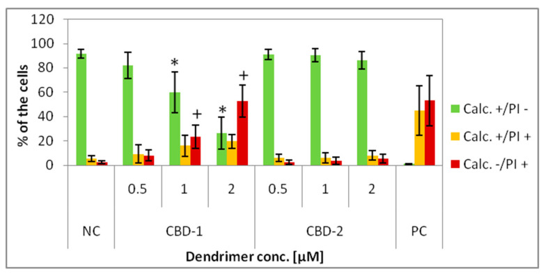Percentage of 2D cultured cells Calc+/PI−, Calc+/PI+ and Calc−/PI+ after 24 h exposure to dendrimers: CBD-1 and CBD-2 at different concentrations. * p < 0.05 vs. NC for group Calc+/PI; + p < 0.05 vs. NC for group Calc−/PI+. n = 6.