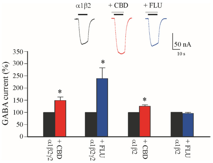 CBD effect in oocytes expressing α1β2γ2 and α1β2 GABAA receptor subunits. Bar graphs show the GABA current increase (as %) induced by CBD 2 μM (red bars) and flunitrazepam (FLU, blue bars) 6 μM in oocytes intranuclearly injected with cDNAs encoding human α1β2γ2 and α1β2 GABAAR subunits, * p < 0.05. In the inset, representative current traces of the experiment with α1β2-containing GABAARs in control condition (black trace), and with CBD (red trace) and FLU (blue trace) as indicated; note the ineffectiveness of FLU in this condition. Black horizontal bars represent GABA 5 μM application, white horizontal bars represent CBD 2 μM application.