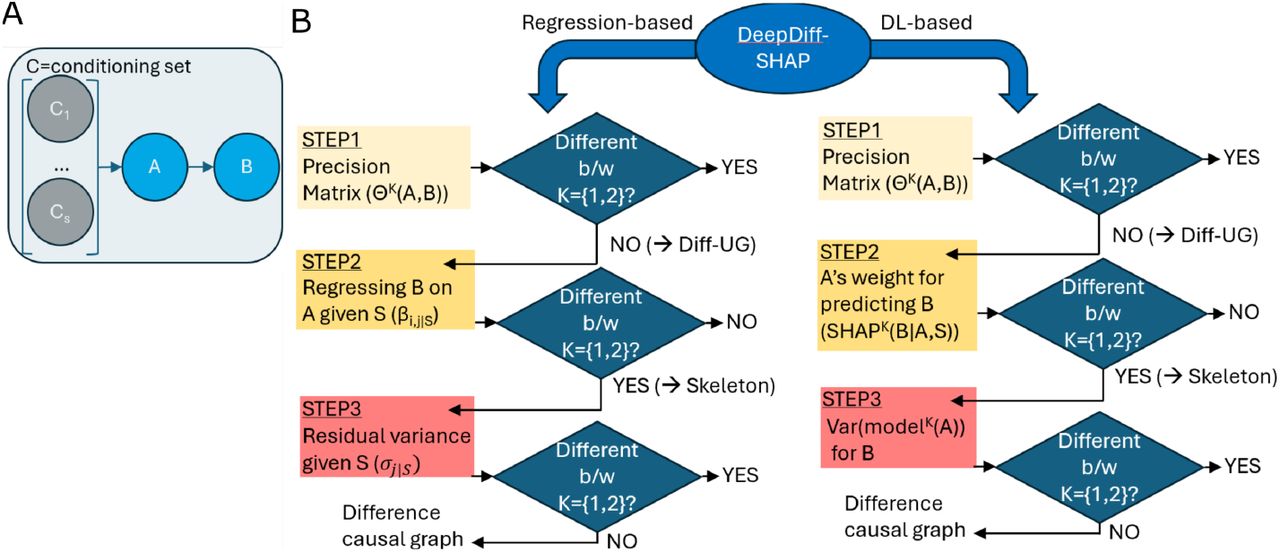 (A) Causal relationship from A to B to test for the difference based on the conditioning set C={C1,…,Cs}. (B) Algorithm of DeepDiff-SHAP with the regression and the deep learning components.