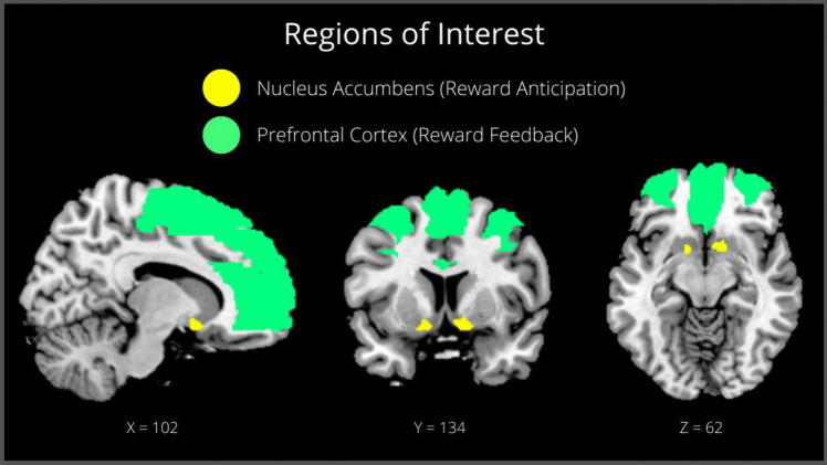 ROI analyses for reward anticipation—NAc (right and left NAc; 127 voxels)—and feedback—PFC (frontal mid left and right, frontal mid orb left and right, supp motor area left and right, frontal sup medial left and right, cingulum anterior left and right; 25 802 voxels). Shown in Montreal Neurological Institute (MNI) standard space and defined using the WFU PickAtlas tool