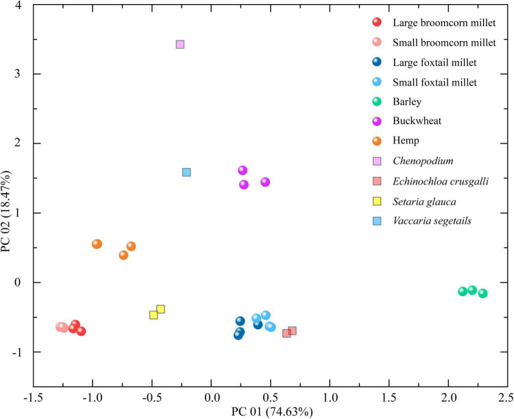 The scatter diagram of the first two principal components of trace element results for plant remains from the Chashancun cemetery.