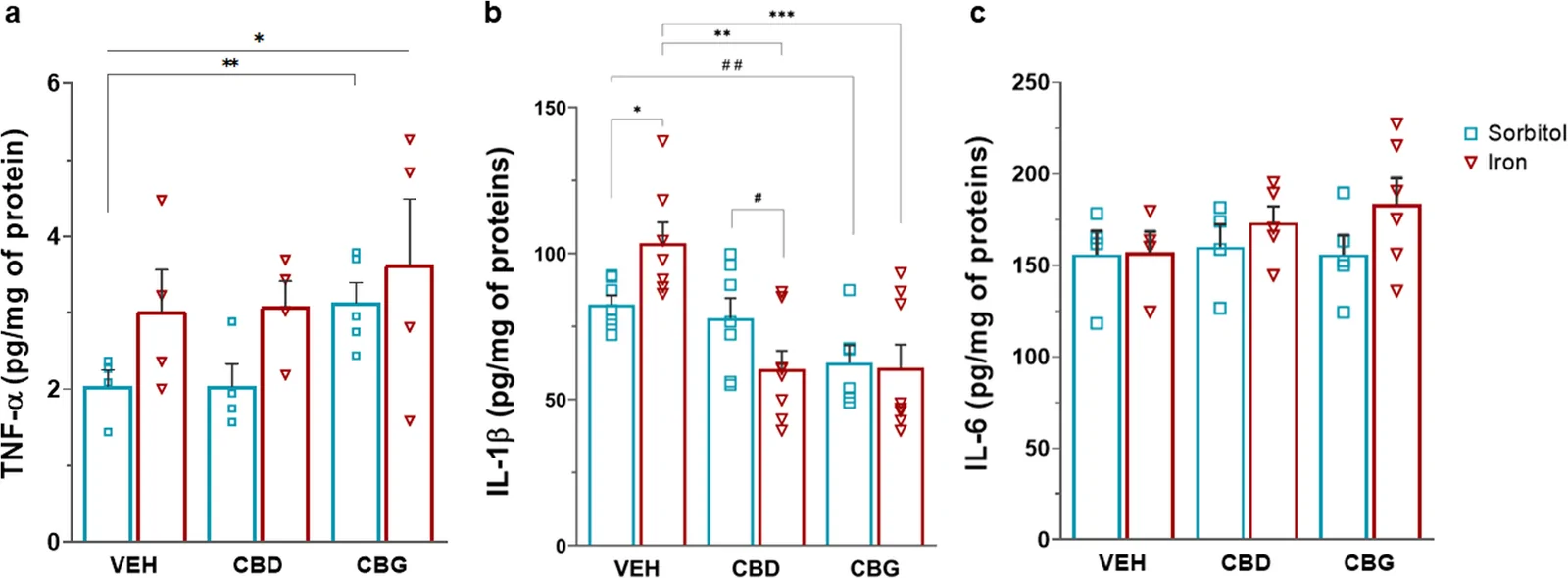 Hippocampal cytokine levels (TNF-α, IL-1β, and IL-6) in adult rats treated with CBD or CBG following neonatal iron overload. (a) Tumor Necrosis Factor-α (TNF-α). Bar graphs represent TNF-α concentrations in animals treated neonatally with Sorbitol or Iron and, in adulthood, with Vehicle (VEH), cannabidiol (CBD), or cannabigerol (CBG). Group sizes: Sorbitol–VEH (n = 4), Sorbitol–CBD (n = 4), Sorbitol–CBG (n = 5); Iron–VEH (n = 4), Iron–CBD (n = 4), Iron–CBG (n = 4). Neonatal iron exposure significantly increased TNF-α levels (p = 0.011). CBG increased TNF-α under basal conditions (Sorbitol–CBG vs. Sorbitol–VEH, p = 0.049), whereas CBD had no effect. * Indicates p < 0.05, Sorbitol vs. Iron (main effect); ** indicates p < 0.05, Sorbitol–CBG vs. Sorbitol–VEH; (b) Interleukin-1β (IL-1β). IL-1β concentrations for the same groups. Group sizes: Sorbitol–VEH (n = 7), Sorbitol–CBD (n = 7), Sorbitol–CBG (n = 6); Iron–VEH (n = 7), Iron–CBD (n = 8), Iron–CBG (n = 8). Adult treatment (p < 0.001) and the interaction between neonatal and adult treatments (p < 0.05) were significant. Iron–VEH animals showed elevated IL-1β vs. Sorbitol–VEH (p = 0.016). Both CBD and CBG reduced IL-1β levels in iron-exposed rats (p < 0.001). CBD also reduced IL-1β below Sorbitol–CBD levels (p = 0.038), and CBG reduced IL-1β even in controls. * Indicates p < 0.05 (Iron–VEH vs. Sorbitol–VEH); ** indicates p < 0.001 (Iron–CBD vs. Iron–VEH); *** Indicates p < 0.001 (Iron–CBG vs. Iron–VEH); # indicates p < 0.05 (Iron–CBD vs. Sorbitol–CBD). ## Indicates p < 0.05, Sorbitol–CBG vs. Sorbitol–Vehicle. (c) Interleukin-6 (IL-6). IL-6 levels in the same treatment groups. Group sizes: Sorbitol–VEH (n = 4), Sorbitol–CBD (n = 4), Sorbitol–CBG (n = 5); Iron–VEH (n = 4), Iron–CBD (n = 5), Iron–CBG (n = 6). There were no significant effects of neonatal treatment, adult treatment, or their interaction (all p > 0.05). Data are presented as mean ± SEM with individual data points. Statistical comparisons for TNF-α and IL-1β were performed using GLM with EMMs and Sidak-corrected post hoc comparisons. IL-6 data were analyzed using two-way ANOVA followed by Tukey’s post hoc test